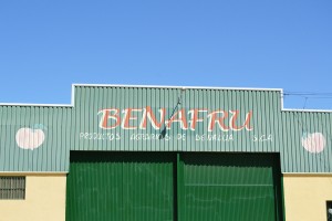 Benafru